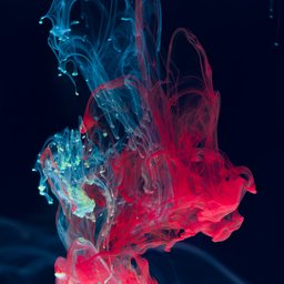 lucas-benjamin-R79qkPYvrcM-unsplash