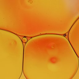 pete-godfrey-F_B6TM8uT2s-unsplash