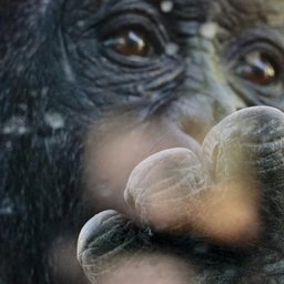 adam-bignell-ADpUIp4Awuc-unsplash