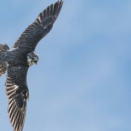 alan-mersom-NzkjR1pw0Lc-unsplash