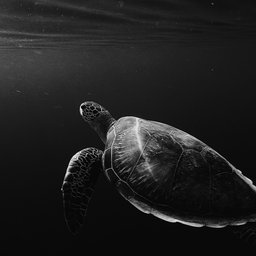 anna-wangler-_GqwoiT7QY8-unsplash