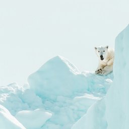 annie-spratt-o1bnhassePU-unsplash