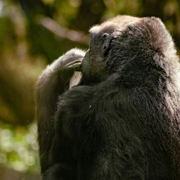 anthony-sebbo-KqrNB6efKZU-unsplash