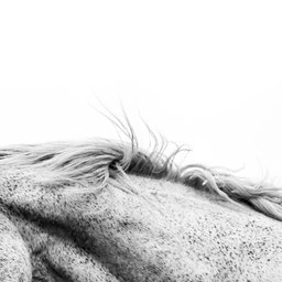 avi-theret-RdWyKwb5lbU-unsplash