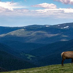 dave-willhite-B8qYoRYS-tY-unsplash