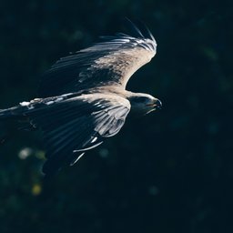 des-recits-PWGv6s2n_Ok-unsplash