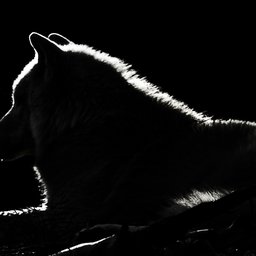 fabian-lauer-8YLfK3cs0UQ-unsplash