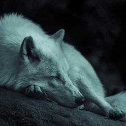 gregoire-bertaud-wK_DZlAJJ_Q-unsplash