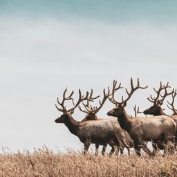 hari-nandakumar-6tGANJJC7lg-unsplash