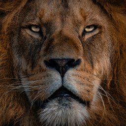 ingo-stiller-3tkxfe2GocY-unsplash