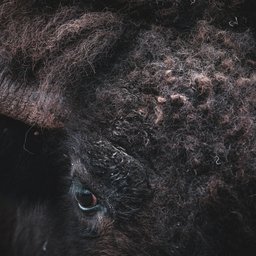 jon-sailer-swiGPzeKLkg-unsplash