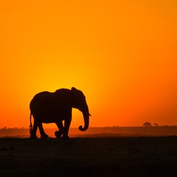 jordan-heinrichs-UpA6QvGpLHc-unsplash