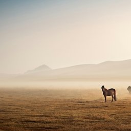 joseph-daniel-7FprFl6VIu8-unsplash