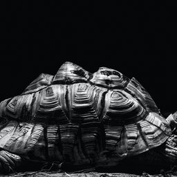karl-ibri-CQqZ2BWeoAU-unsplash