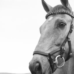 kirsten-lachance-KPwC1b5AUDA-unsplash
