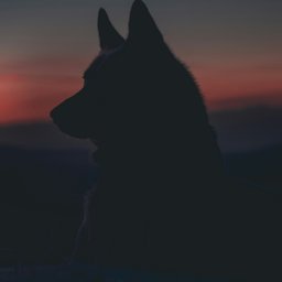 marek-szturc-8Ou3EZmTMWA-unsplash