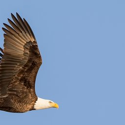 mathew-schwartz-O31kjYCHzPY-unsplash