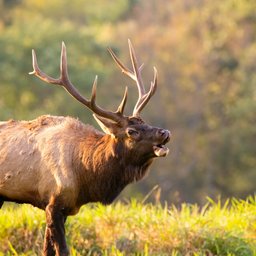 mathew-schwartz-rtT0Uk8fkR8-unsplash