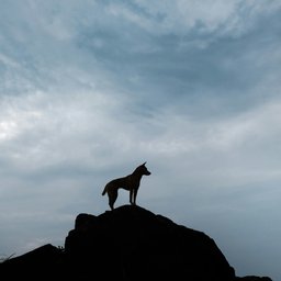 patrick-desloge-tgqdM6VQy2E-unsplash