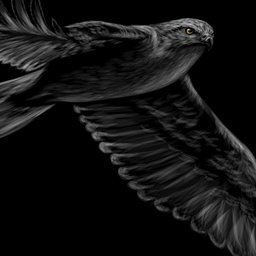 portrait-of-a-flying-falcon-on-a-black-background-illustration-vector