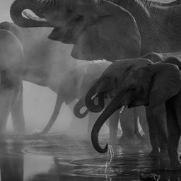 richard-jacobs-8oenpCXktqQ-unsplash