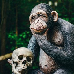 sebastian-hages-Jn67_91aoOg-unsplash
