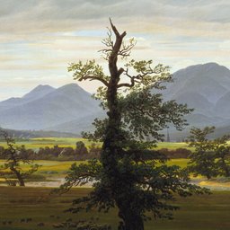 ARTWORK-lonely-tree
