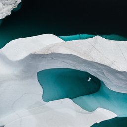 annie-spratt-8nAvFWUig3c-unsplash