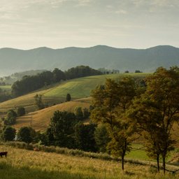 matthew-lancaster--nVhhrnQvSU-unsplash
