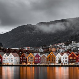 michael-fousert-lE5-z4nTCTQ-unsplash