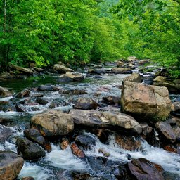 mitchell-kmetz-5a3gboOg9qc-unsplash