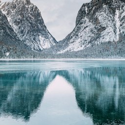 tim-stief-YFFGkE3y4F8-unsplash
