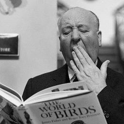 hitchcock