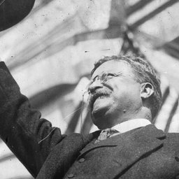 tedd-roosevelt-C