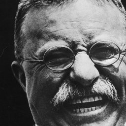 teddy-roosevelt-B