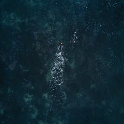 PLACES-la-jolla-cove