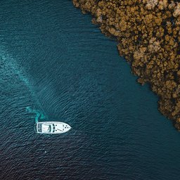 alex-perez-marco-island