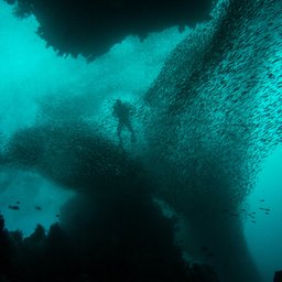 alex-rose-ccWJHxUeM7c-unsplash