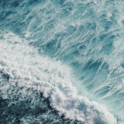 andrzej-kryszpiniuk-4wFqHZ1ONnM-unsplash