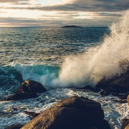 dan-stark-DLwUVlzrP0Q-unsplash