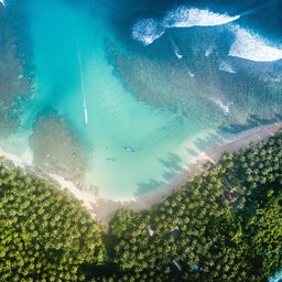 james-donaldson-toPRrcyAIUY-unsplash
