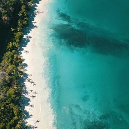 luis-diego-aguilar-4hl866ST7kI-unsplash