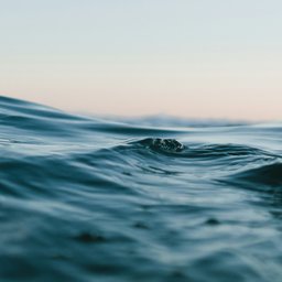 matt-hardy-6ArTTluciuA-unsplash