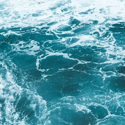 peter-fogden-Jx5IB1f5-4w-unsplash