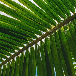 romeo-a-rZ7vGf5fzyM-unsplash
