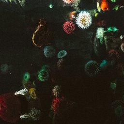 scott-webb-e3dY8laAQtA-unsplash