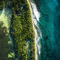 shifaaz-shamoon-4mQbBC6Do0Y-unsplash