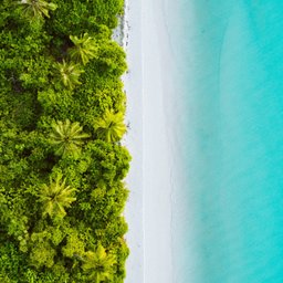 shifaaz-shamoon-58GWNC-hq_k-unsplash