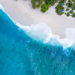 shifaaz-shamoon-Rl9l9mL6Pvs-unsplash