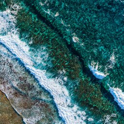 shifaaz-shamoon-ikVBaapsTPg-unsplash